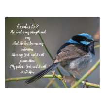 Bible Verse Poster