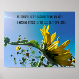 Bible verse poster, the flowers grow with God. Poster
