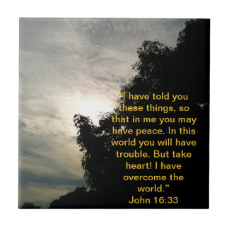 Bible Verse Tile: Jesus has overcome the world. Tile