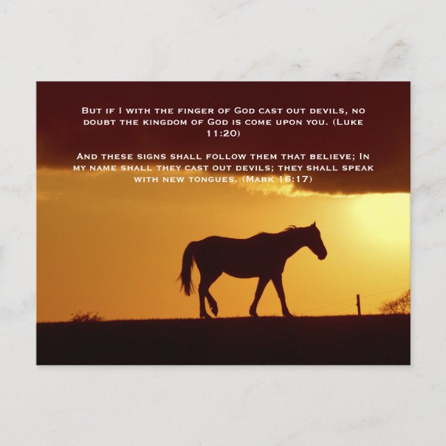 Bible verses, a horse in the sunset postcard (Front)