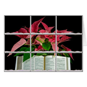 Bible with Christmas poinsettia in window frame