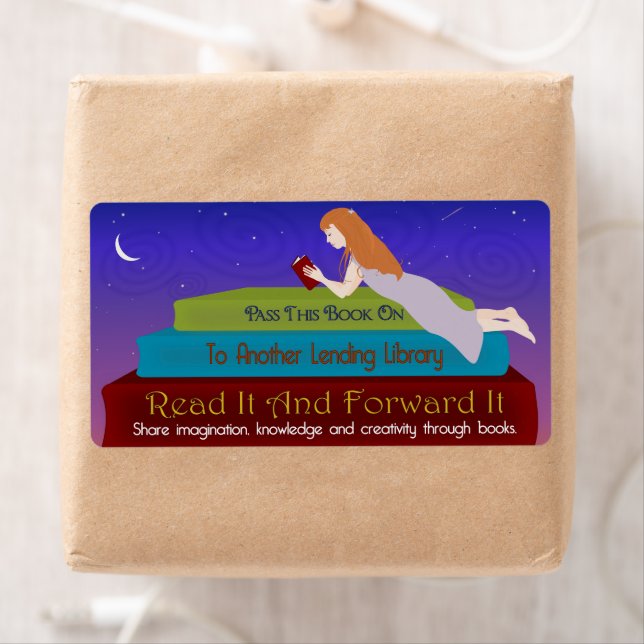 Bibliothèque de petites prêts (En situation)