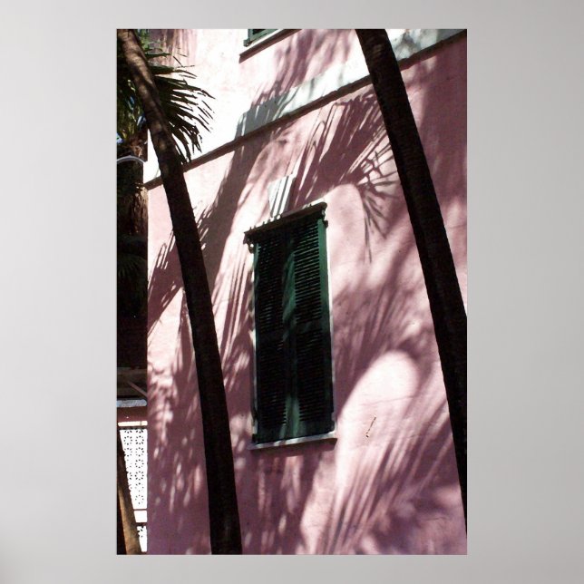 Bibliothèque Nassau Pastel Pink Poster Imprimer (Devant)