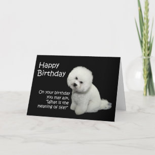 Bichon Birthday Card