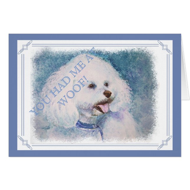 BICHON BLANC FRISE (Devant horizontal)