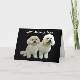 Bichon Buddies Greeting Card