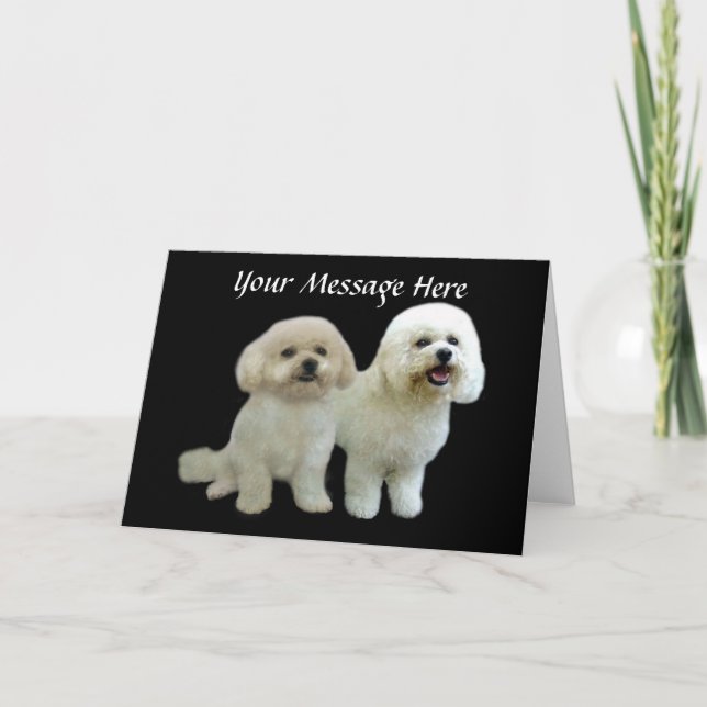 Bichon Buddies Greeting Card (Front)