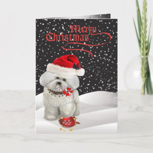 Bichon Faces A Merry Christmas Greeting Card