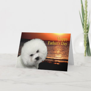 Bichon Father's Day Card