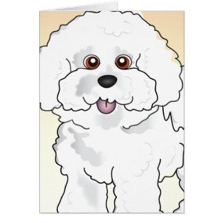 Bichon Frise