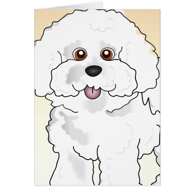 Bichon Frise (Devant)
