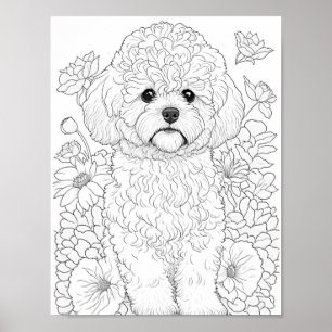 Bichon Frise Adult Colouring Poster