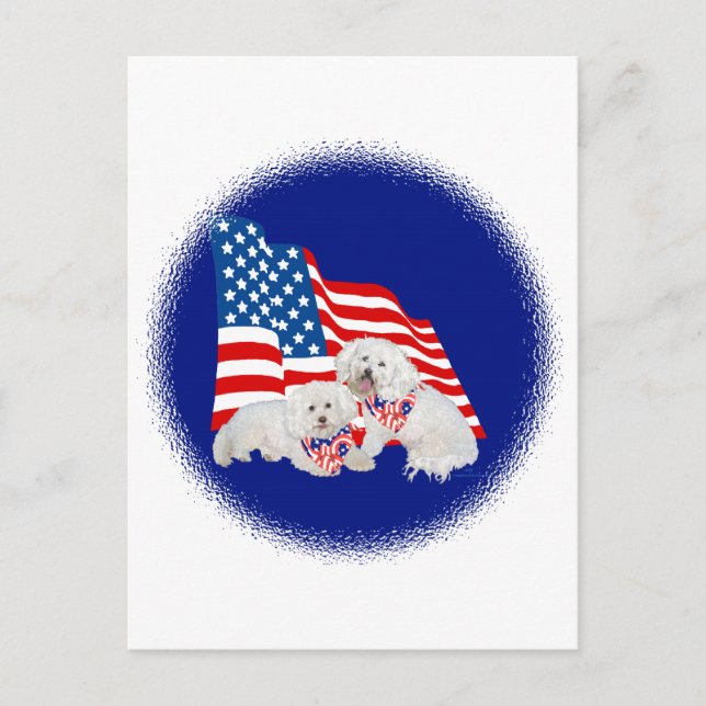 Bichon Frise American Flag Postcard (Front)