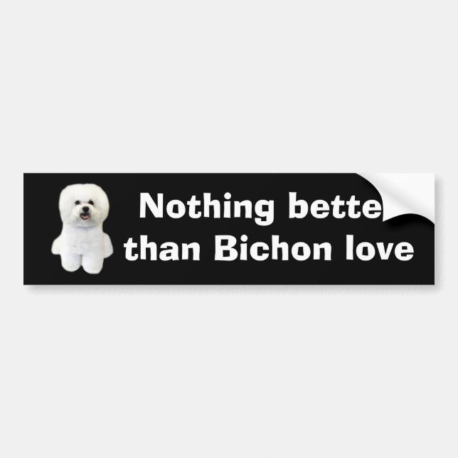 Bichon Frise Bumper Sticker (Front)