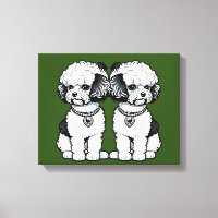 Bichon Frise