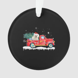 Bichon Frise Chien de Noël Père Noël Noël