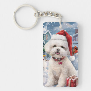 Bichon Frise Chien Hiver Merveilleux Noël Joie