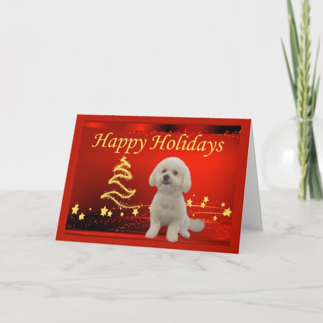 Bichon Frise Christmas Card Stars (Front)