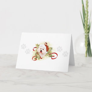 Bichon Frise Christmas Cards