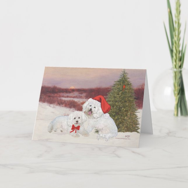 Bichon Frise Christmas Holiday Card (Front)