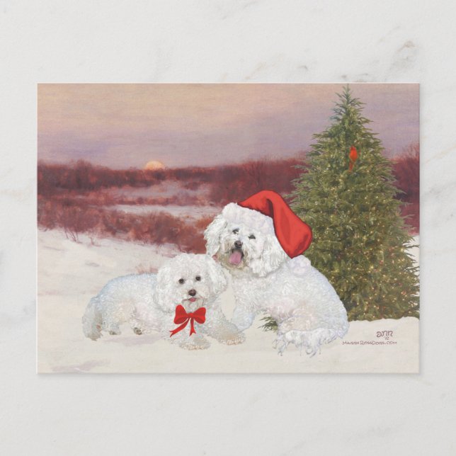 Bichon Frise Christmas Holiday Postcard (Front)