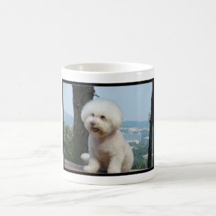 Bichon Frise Coffee Mug