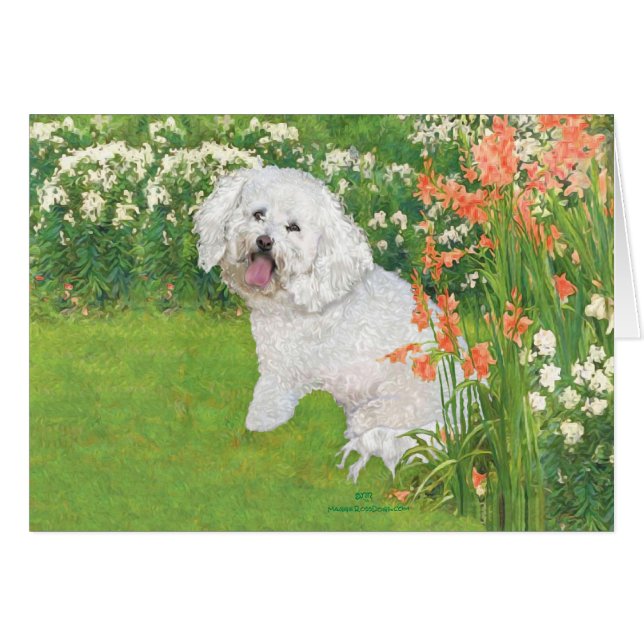 Bichon Frise Coral Fantasy (Front Horizontal)