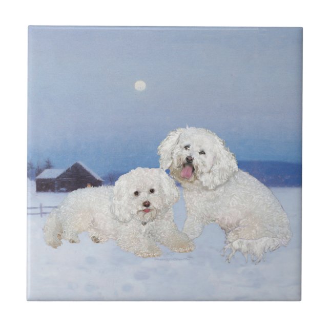 Bichon Frise December Evening Tile (Front)