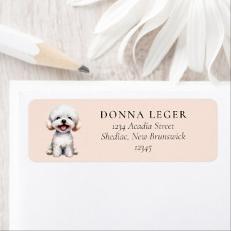 Bichon Frise Dog Address