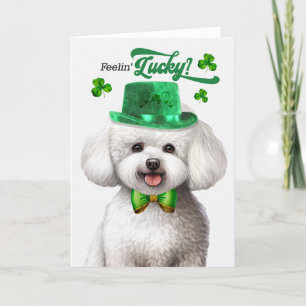 Bichon Frise Dog Feelin' Lucky St Patrick's Day Holiday Card