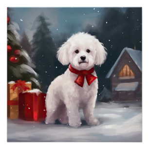 Bichon Frise Dog in Snow Christmas  Poster