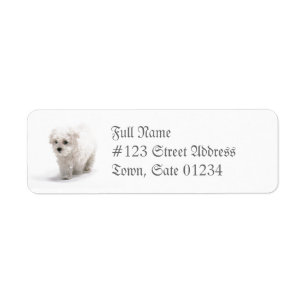 Bichon Frise Dog Mailing Label