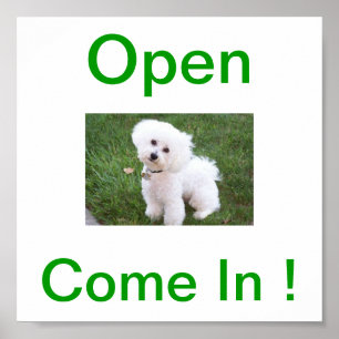 Bichon Frise Dog Open Sign