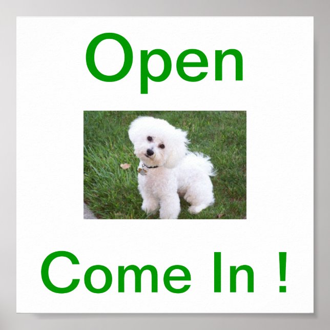 Bichon Frise Dog Open Sign (Front)