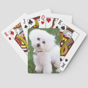 Bichon Frise Dog Playing Cards