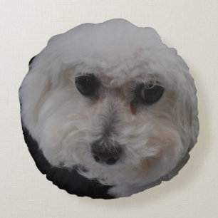 Bichon Frise Dog Round Pillow