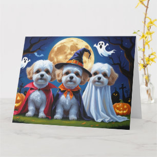 Bichon Frise Dogs Pumpkin Halloween Funny  Card