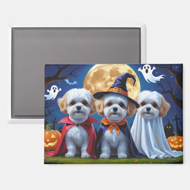 Bichon Frise Dogs Pumpkin Halloween Funny  Magnet (Front/Back)