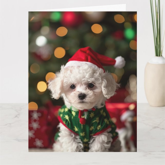 Bichon Frise Elf Puppy Christmas Card  (Front)