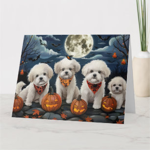 Bichon Frise Halloween Spooky Card