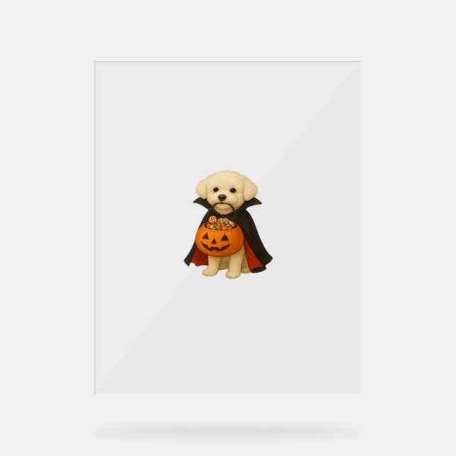 Bichon Frisé Halloween Vampire Pup avec Citrouille (Recto)