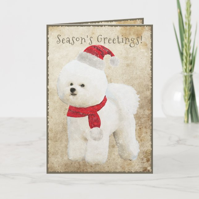 Bichon Frise Holiday Card (Front)