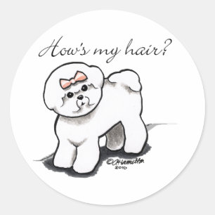 Bichon Frise Hows My Hair Classic Round Sticker