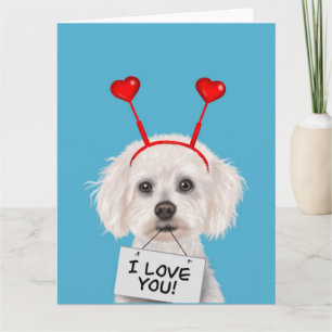 Bichon Frise "I Love You" Valentines Card
