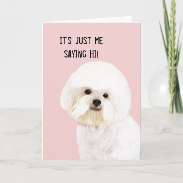 Bichon Frise Illustrated Greeting Card (Front)