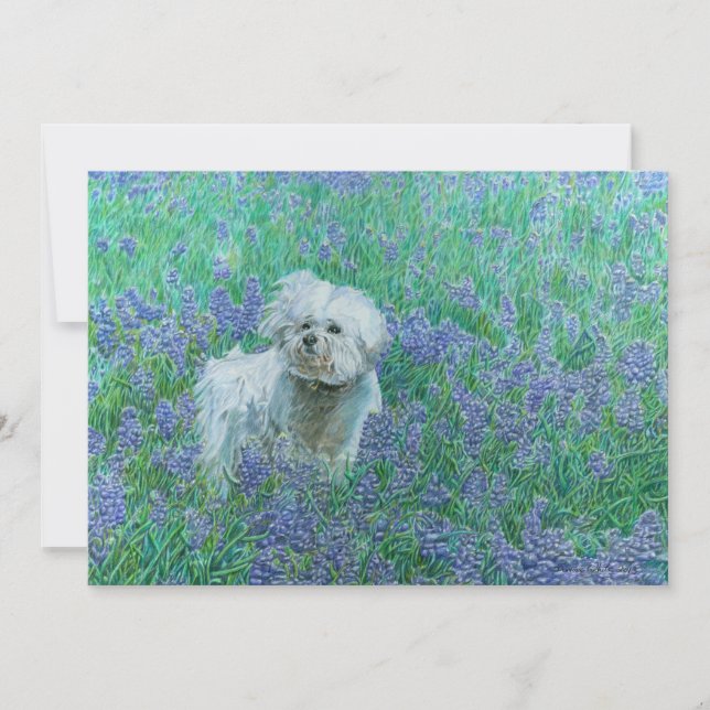 Bichon Frise in Bluebonnets Thank You Card (Front)
