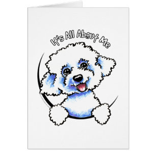 Bichon Frise Its All About Me