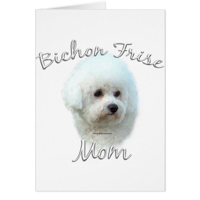 Bichon Frise Maman 2 (Devant)