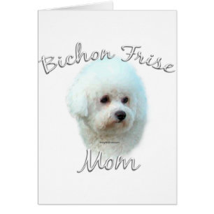 Bichon Frise Mom 2
