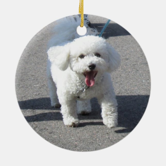 Bichon Frise Ornament (Back)